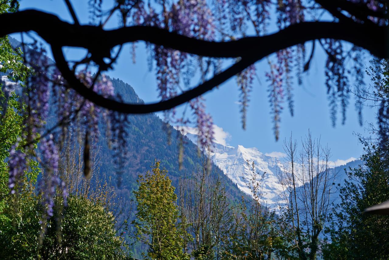 Boutique B&B Maison Bergdorf Interlaken Exteriör bild